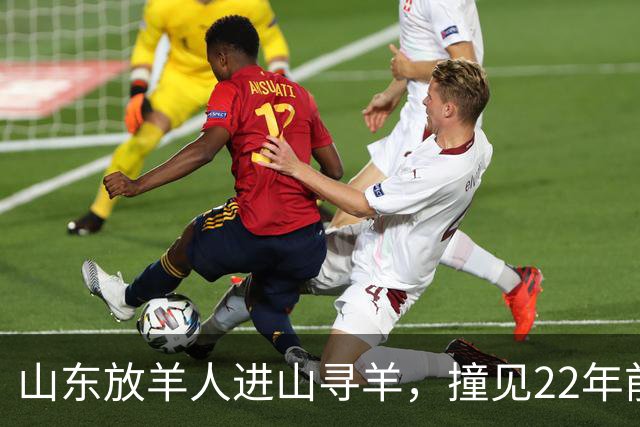山东放羊人进山寻羊，撞见22年前失踪勘探队石屋，掀开篷布惊呆了