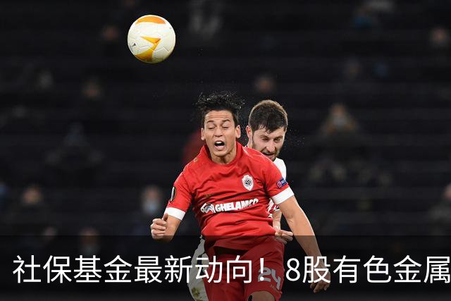 社保基金最新动向！8股有色金属，最高净利狂飙19540%！