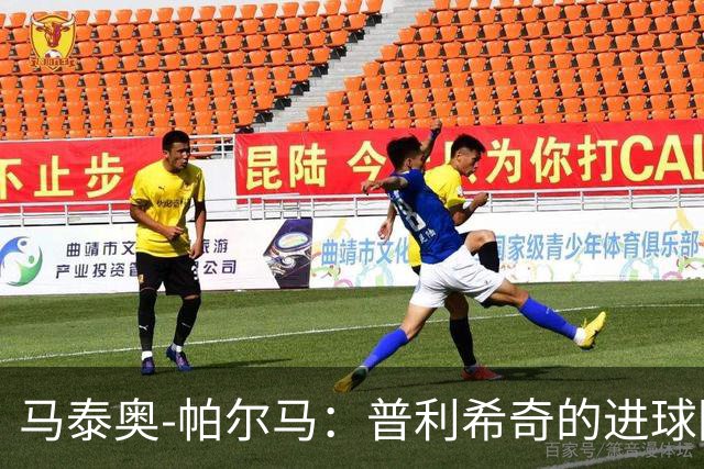 马泰奥-帕尔马：普利希奇的进球因防守不集中，下轮要立即回应